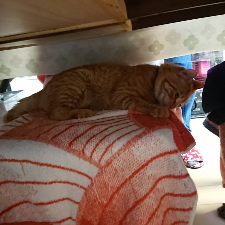 08f84a62 1e04 48a6 a1ee 6121b8657556 1644020920419