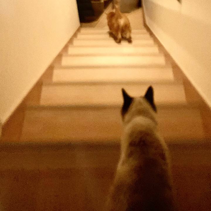 08f89e84 b112 4686 a2ad ba0ed72ac873 1609716410819