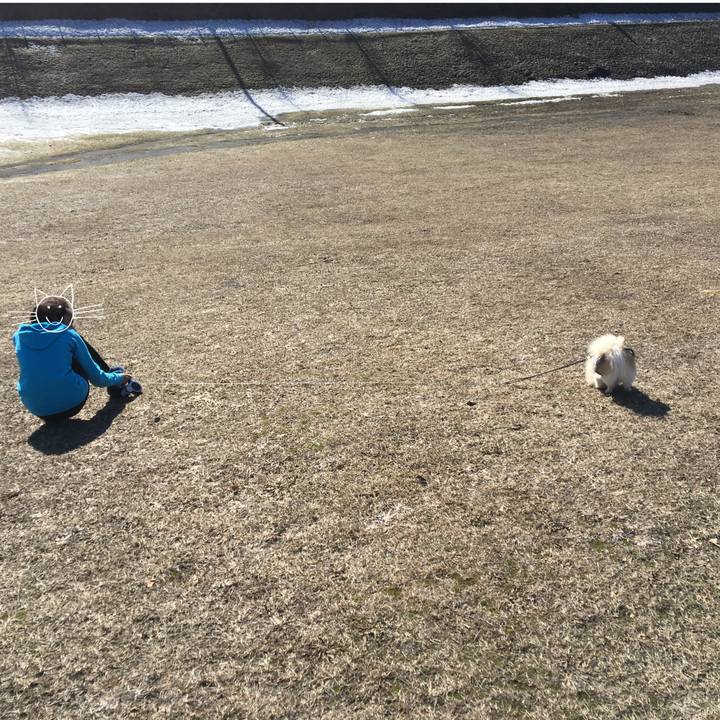 08f8e886 3cbb 4d65 9c10 149244456f55 1522411952195