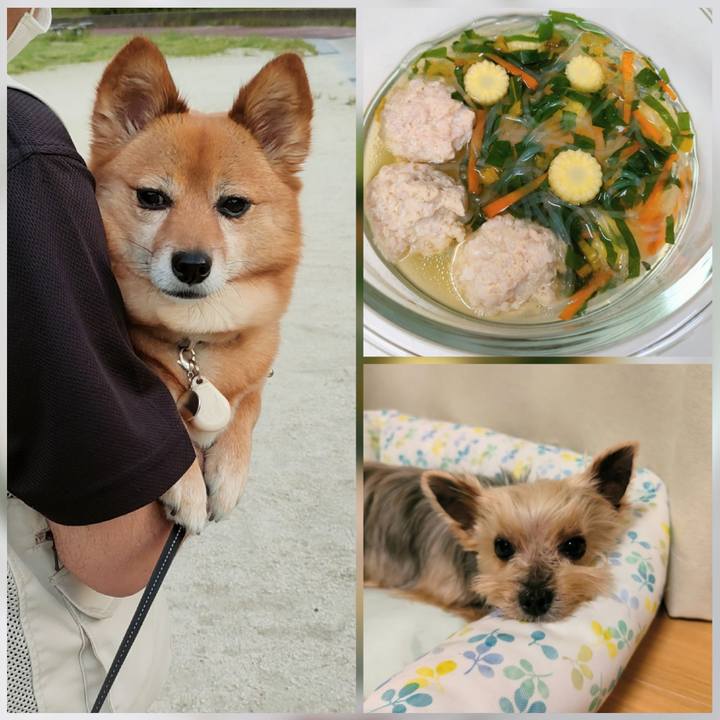 08f8f0a1 1e29 4019 94d1 5f09e7a90f5d 1653736164616