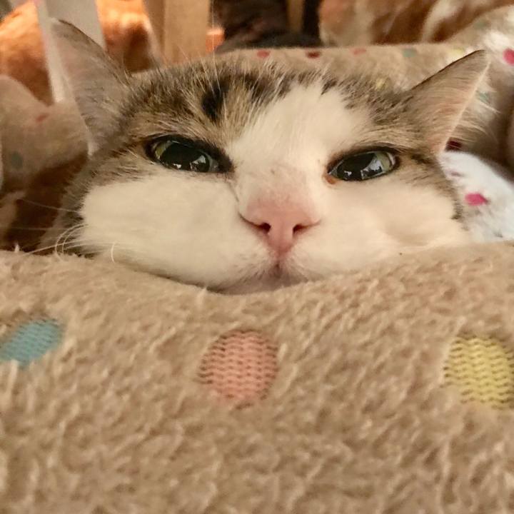 08f8f5dd ebb0 45b9 b482 1700353bd37a 1546857661267