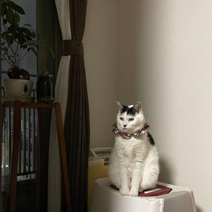 08f905c5 6578 4fc0 85db e1718693bc4a 1681552685714