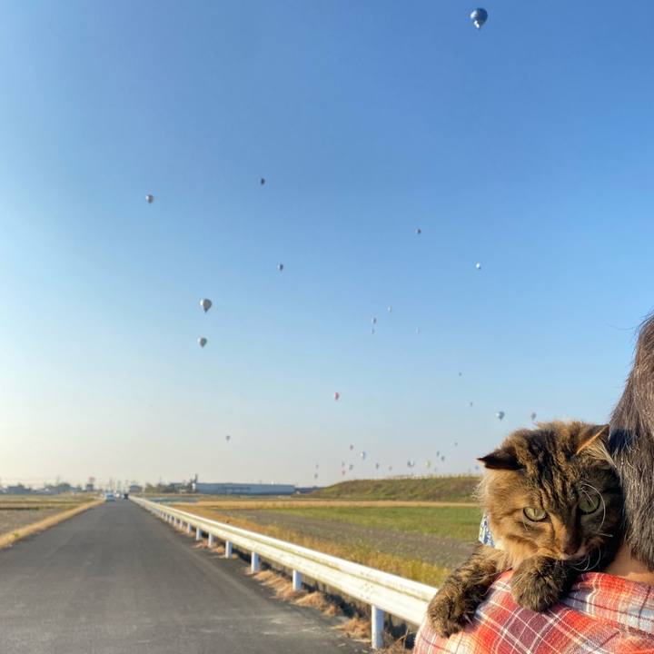 08f923f0 9ec3 4ab5 ba64 6bc92a9d1ba7 1698813427614