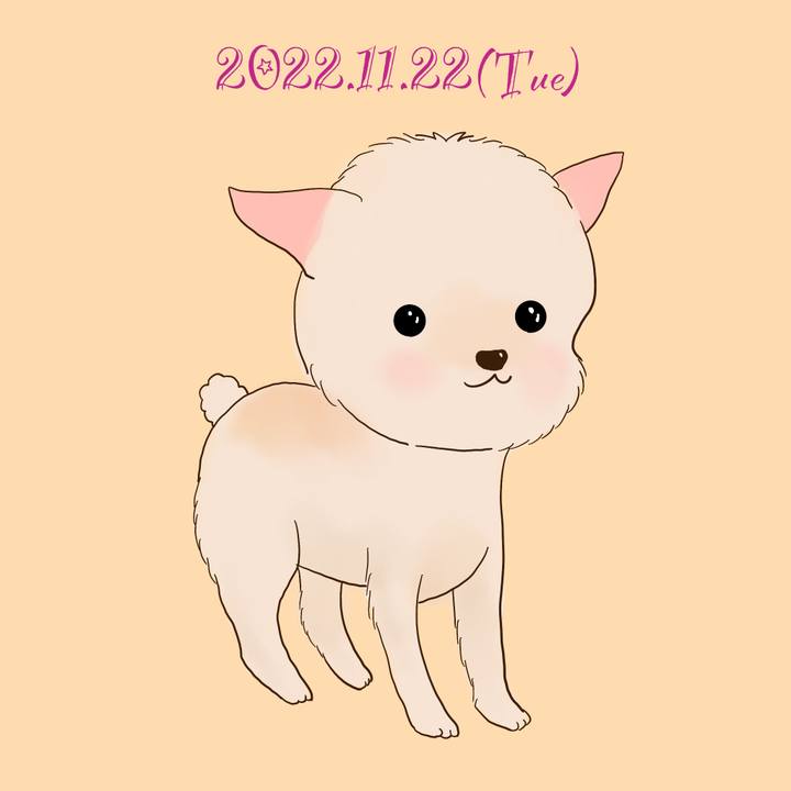 08f99d57 c8bd 48a9 9870 3d31a222da0c 1669115033165