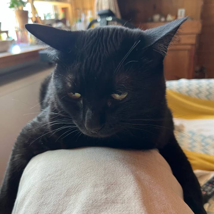 08f9a7b3 06cd 40e4 9a48 ab6bea396e00 1694755494868