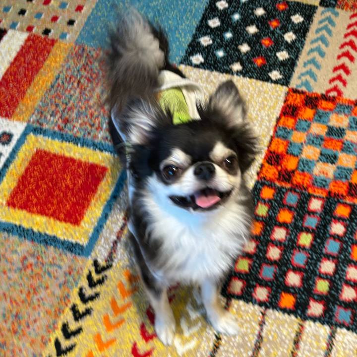 08f9c30d 41a6 462b b98d e6cea8a67c8f 1727539962907