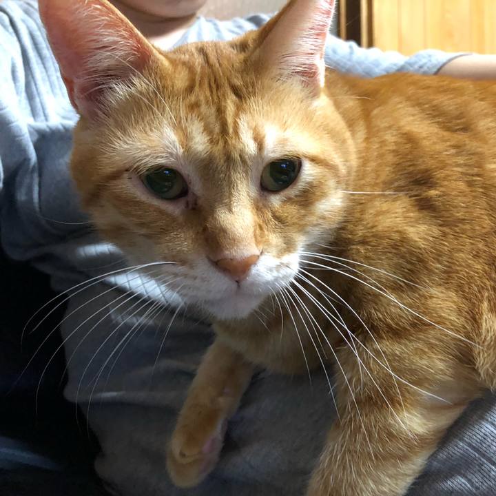 08f9c8d5 3266 4136 9d2a 54c5c7bb2422 1569503341857