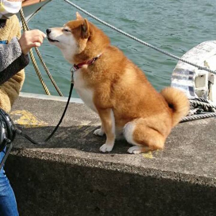 08f9d773 ba70 4bb5 9d03 c50c0193f007 1605173509553