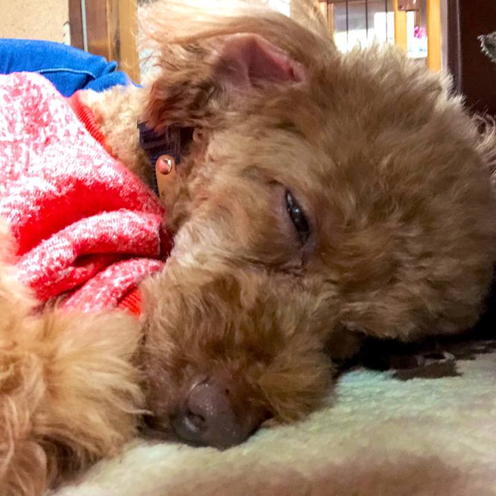 08f9deaa 500c 4586 a7c1 1df5798505a2 1554008928857