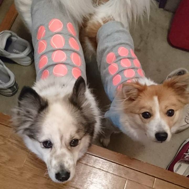 08f9e05a 5ddd 4f48 bff9 c0c88bb1cb01 1518436353817