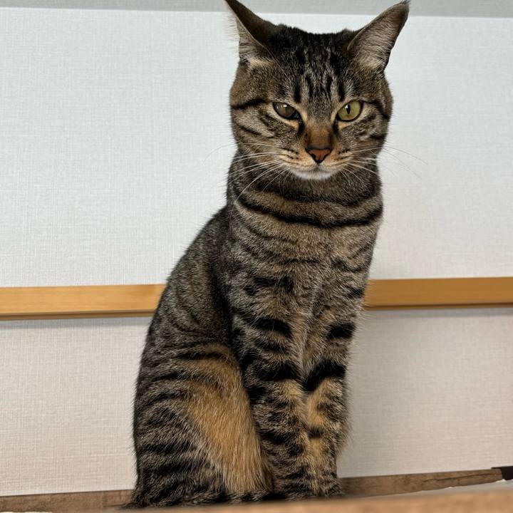 08fa2a41 31f4 4efd 93e2 c6200e096600 1771379478610