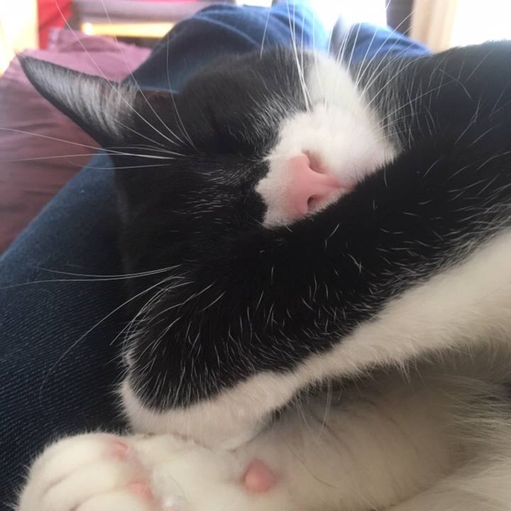 08fa50f2 d5cc 4f3f a177 30fe44547b95 1553222989662