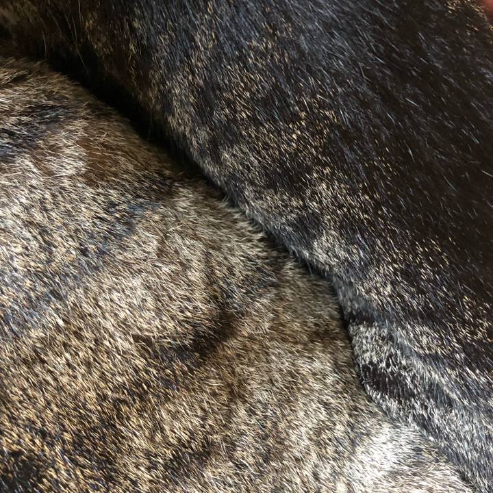 08fa5d51 80e8 4f92 9b42 2f43f0c9a97b 1594477529172