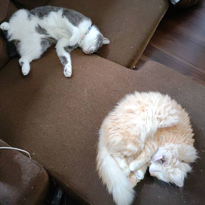 08fa92d3 7dd4 43a1 b0cd f6f2d64c60ea 1721181538898