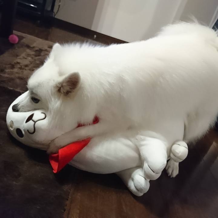 08faa034 d779 4f2d 91cc 8e25d9148868 1529507420915