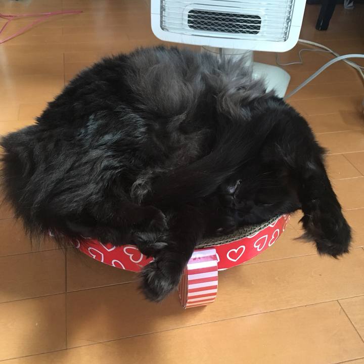 08facb00 b82b 42cb b331 6346202dc1c8 1571274859370