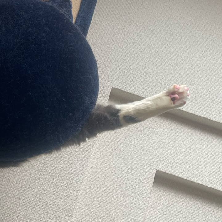 08fadf15 c68c 49ab 9788 e21a74269df0 1735614256033