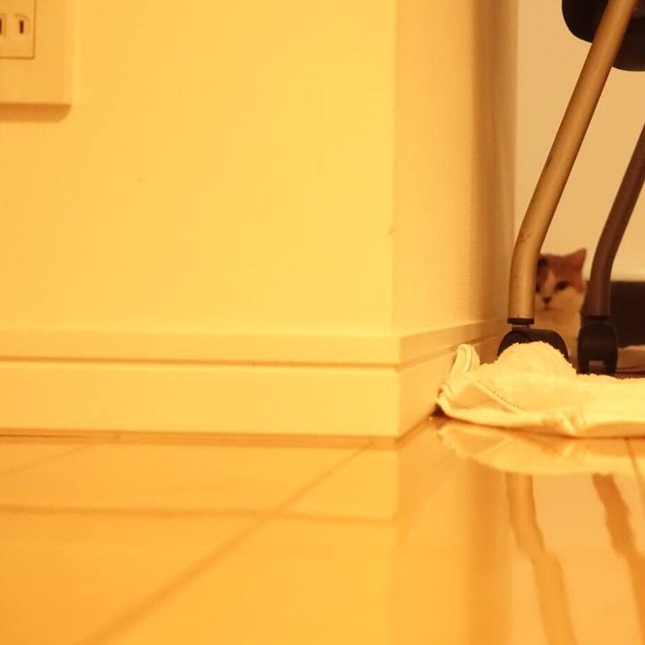 08fb2f20 36e5 46ed 8925 ebe867739be6 1539008288469