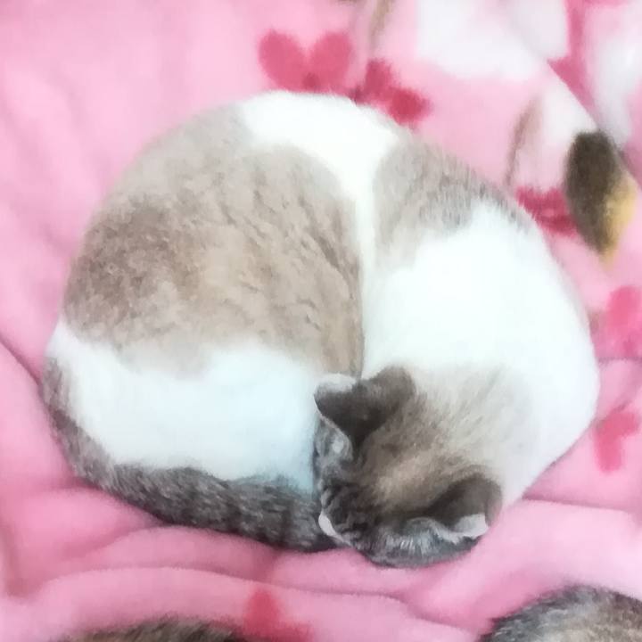 08fb7376 0bef 494b 9707 fd49d32009e6 1548321374183