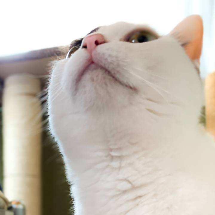 08fb9571 4dd4 45f2 96d0 05166aad3fe4 1591665229208