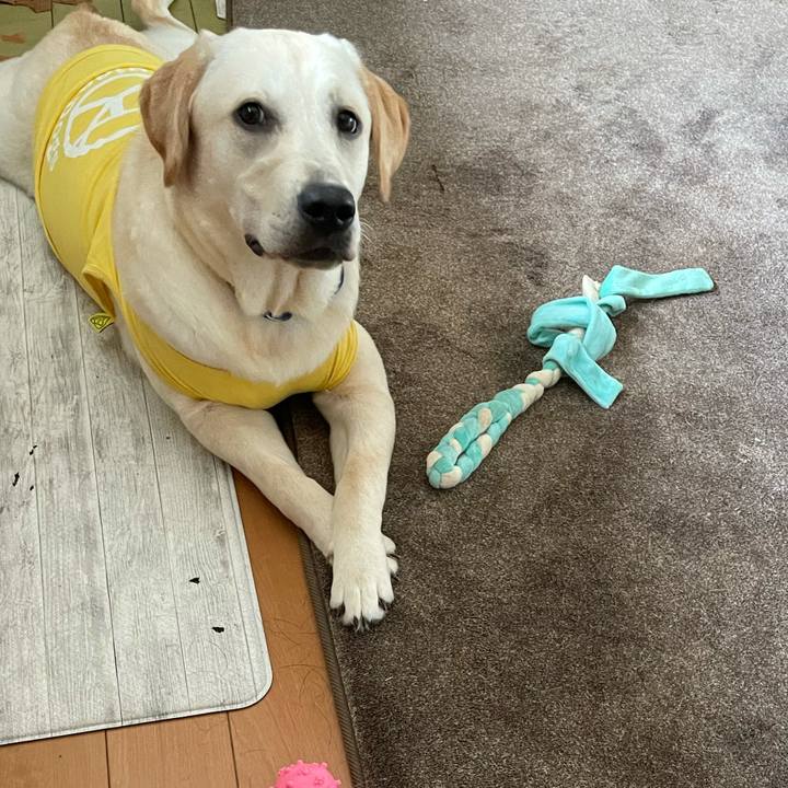 08fba8d8 fc85 41b6 b47f fe02d97b6c85 1626652179065