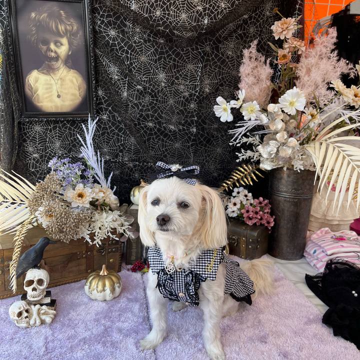 08fbd194 8c50 43e9 9428 8a5d86f0a706 1695557318580