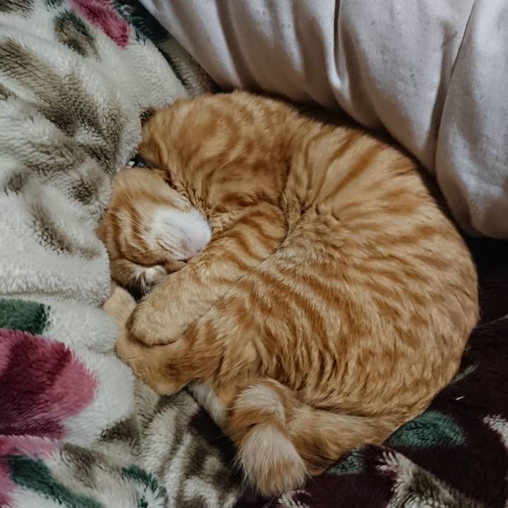 08fc442f 48d1 46a2 bb4c b1eeb3cf1807 1639137494427