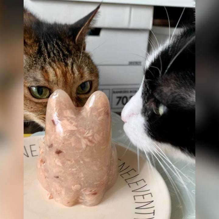 08fc638e d5ab 4799 b350 6ffe7085f194 1687993876010