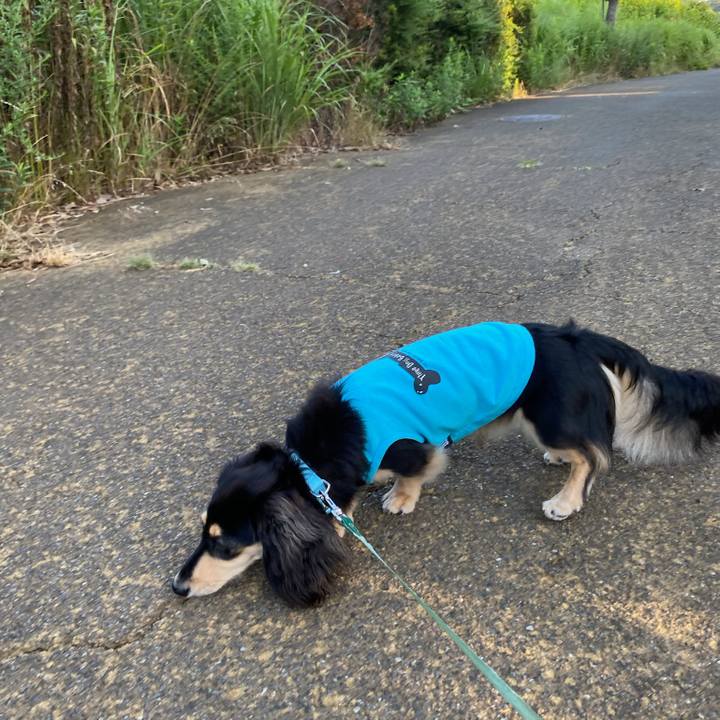 08fc63dc 8e18 41e4 addb f5166ed05d32 1690155625300