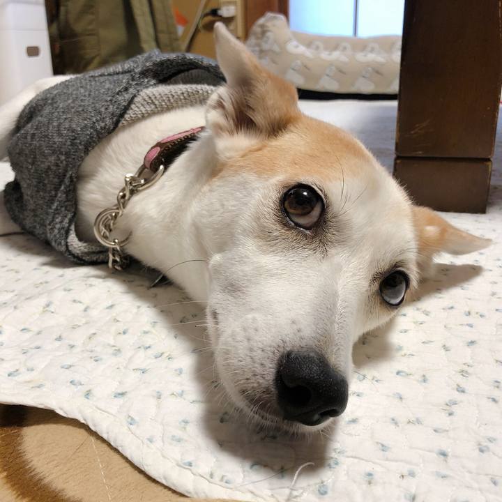 08fc64de b919 436f b1de 6052ad9c94b4 1602110493913