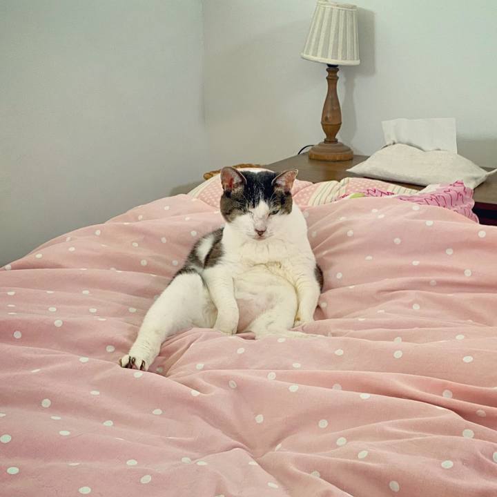 08fc6b19 91b0 4014 aa6f 15d7be4cb70a 1594080266420