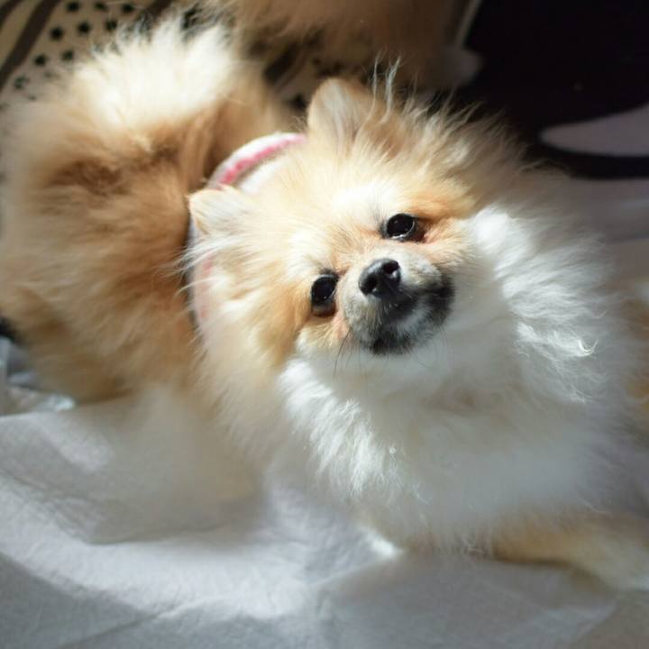 08fc8caf 19b6 4545 ab33 c4485658e961 1516420817244