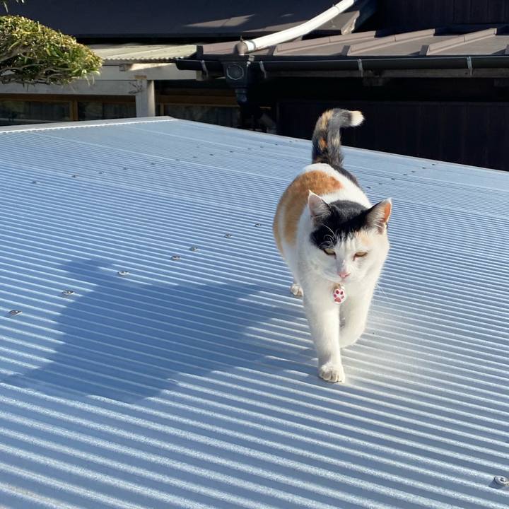 08fc9c6e ffde 4e90 be11 2b3baaa17cba 1641725683862