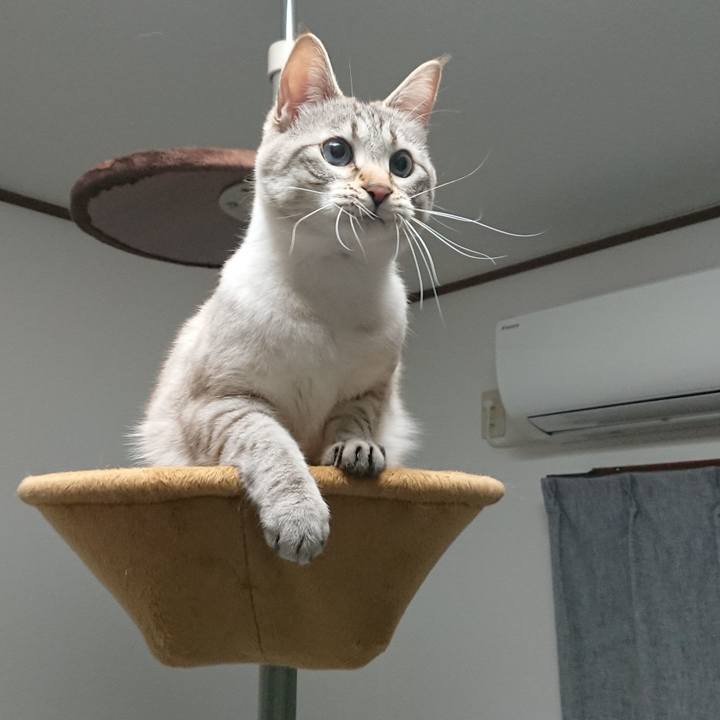 08fcbbdc bf28 47e6 89d4 a75f727060f4 1521461899668