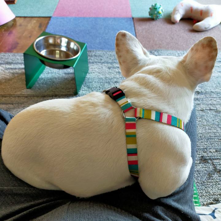 08fcd54a 8ed4 4677 8bf6 8475989a4358 1650665860455