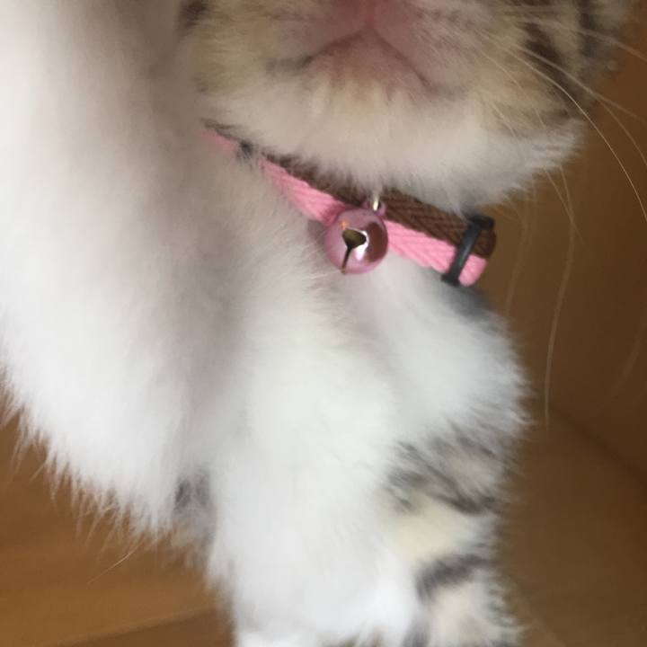 08fcd911 52f0 40de af37 b837828fb57d 1653695992217