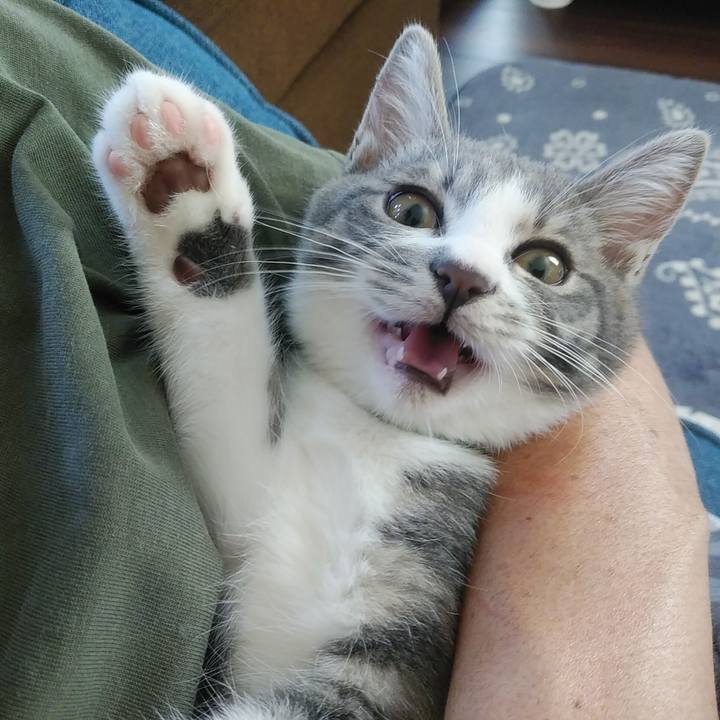 08fcf676 edfa 4eb3 8a31 518e6c598045 1565059874361