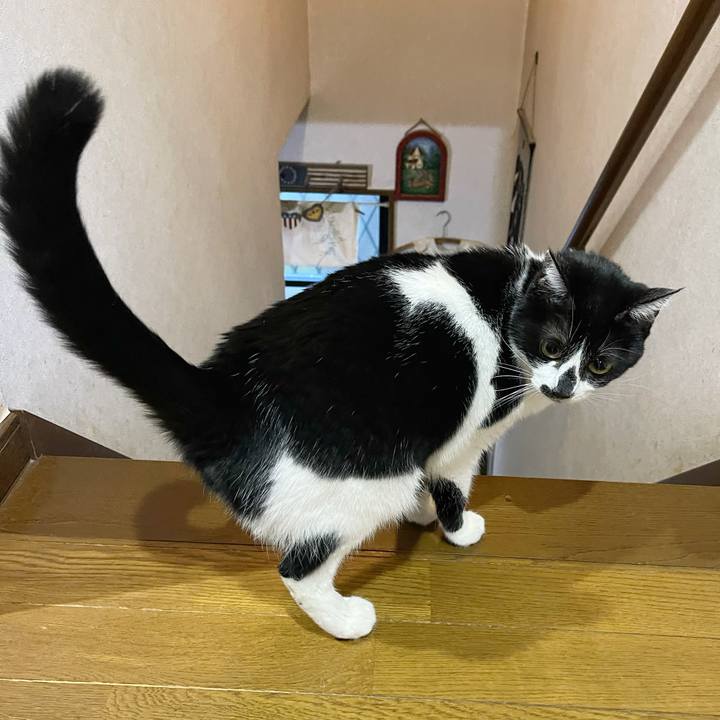 08fcfc34 97f5 4fbb a2df 33f9db01b9ff 1766894033545