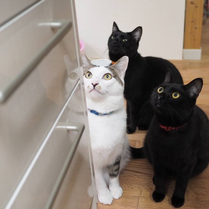 08fd15ec bbb8 4f5e 9c61 05d312ecd6de 1541569558668