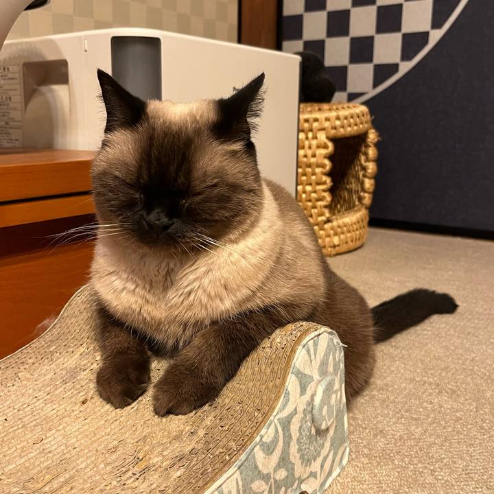 08fd5e99 9ae7 48a0 9eb1 0646e2e96ade 1727606935187