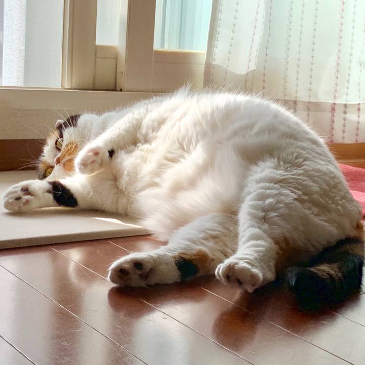 08fd9b0c 7d41 42f9 88ed 0a56e89035fc 1565770143392