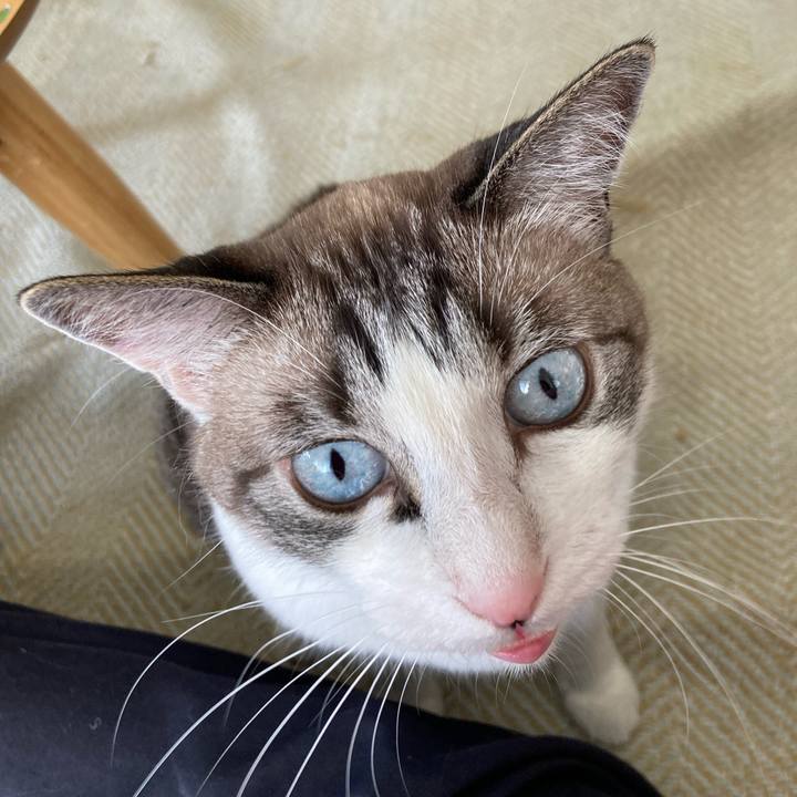 08fdd206 b3e6 4db9 94ab f03785af8e97 1720399293794