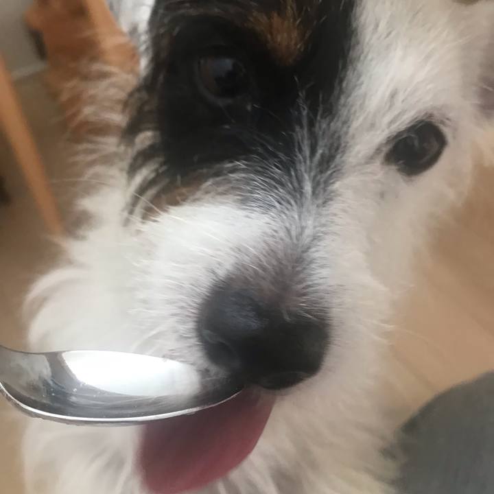 08fddb14 3f50 4991 a041 e4b841d267f8 1537915969559