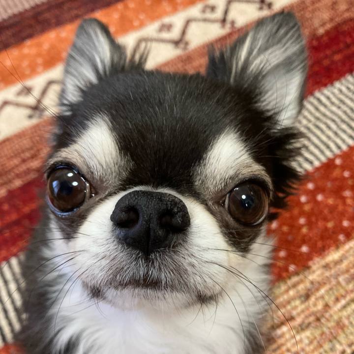 08fde372 aa06 45eb 80b7 1807585d3da2 1672355060408