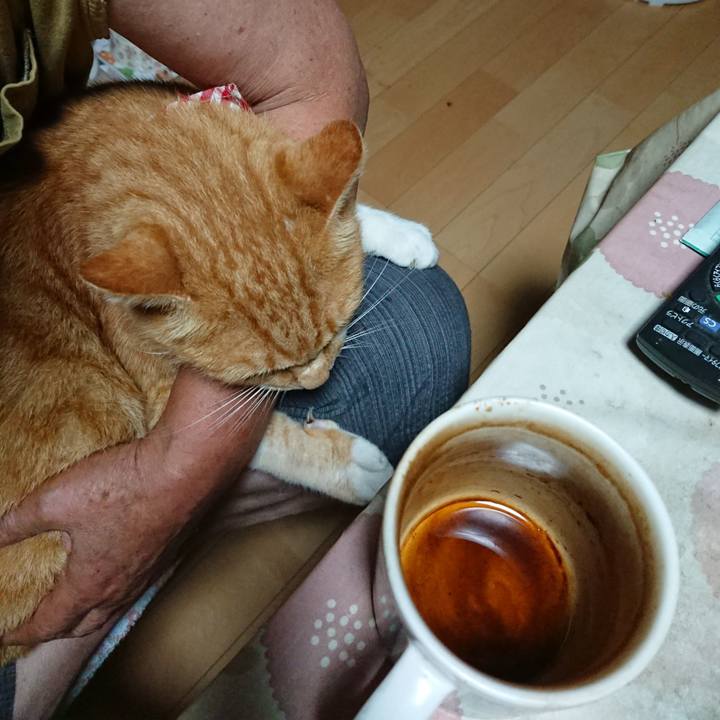 08fe02db e6e7 47b2 9d11 b297409cf68f 1597612254877