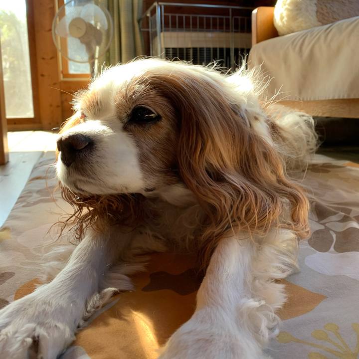 08fe0408 89d0 4379 ade4 4dd3ab1b3b53 1592691262543