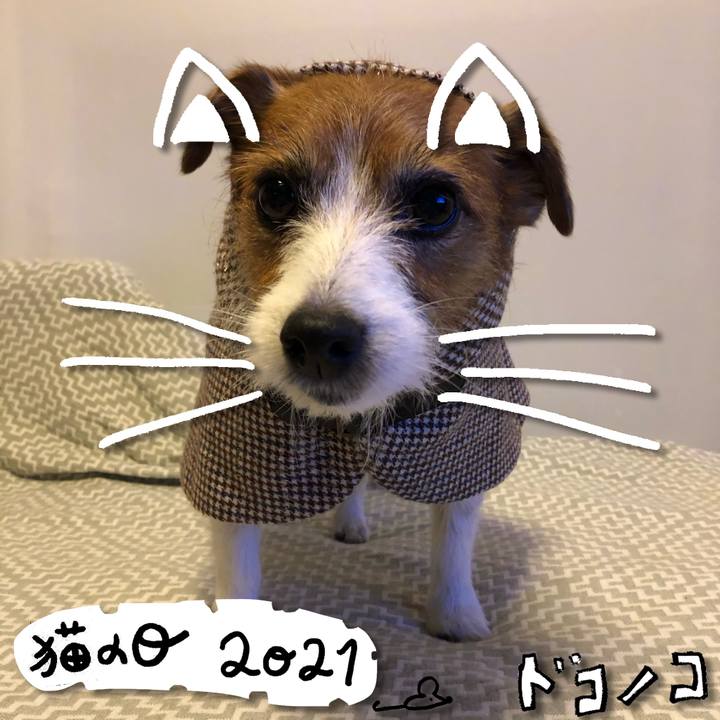 08fe3395 dd96 41b9 b278 75a62d50aefc 1613975979547