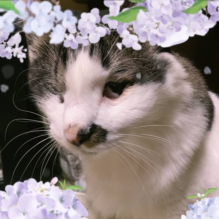 08fe4e57 2845 4aa2 89f7 b271ca5f5619 1559957498725