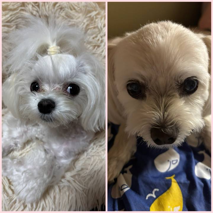 08fe62c5 54e6 4d0d 8243 9d4698db8d05 1752324968539