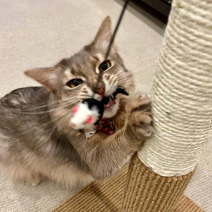 08fe9a08 e86f 4437 8683 11549c3fa7bb 1768396556796